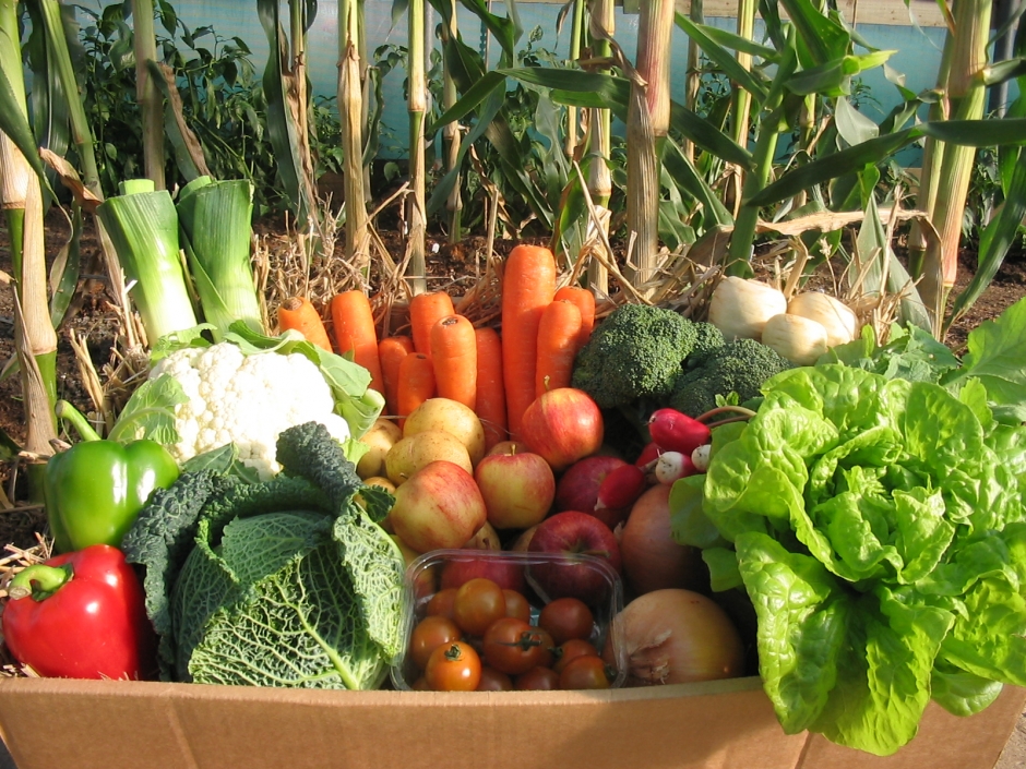 Vegetable Box